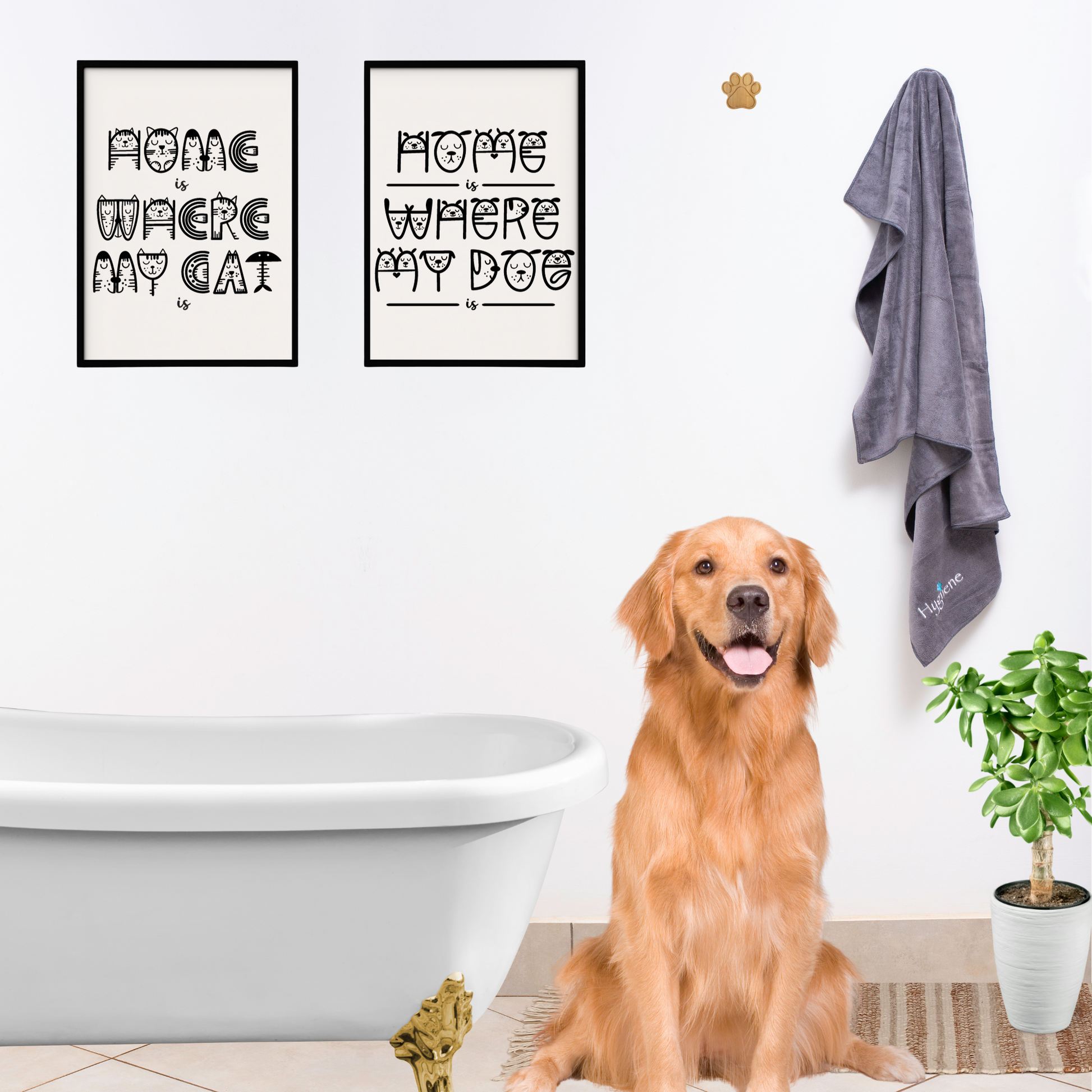 image of a brown dog standing next to a HYGIIENE superabsorbent microfiber pet towel hanging on a hook in the bathroom