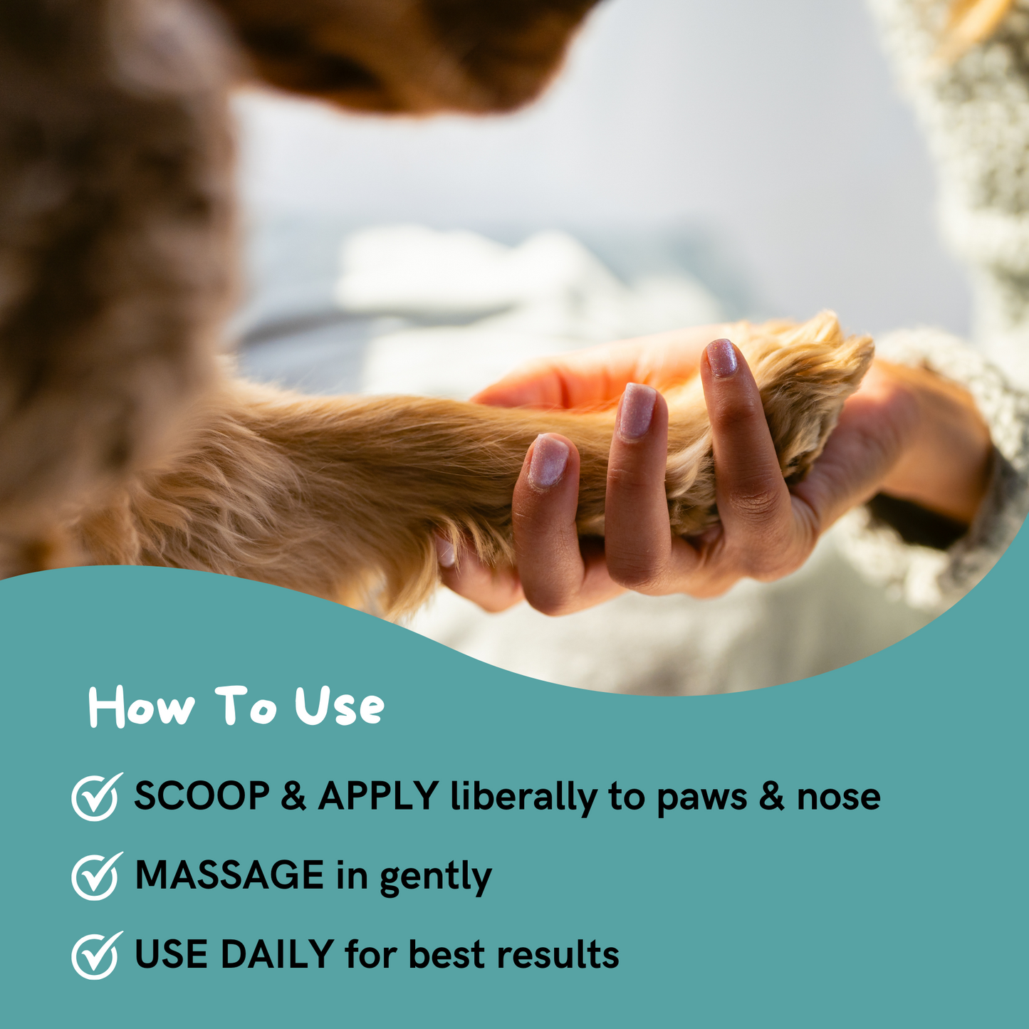 image of dog paw on woman' hand next to how to use HYGIIENE paw balm instructions